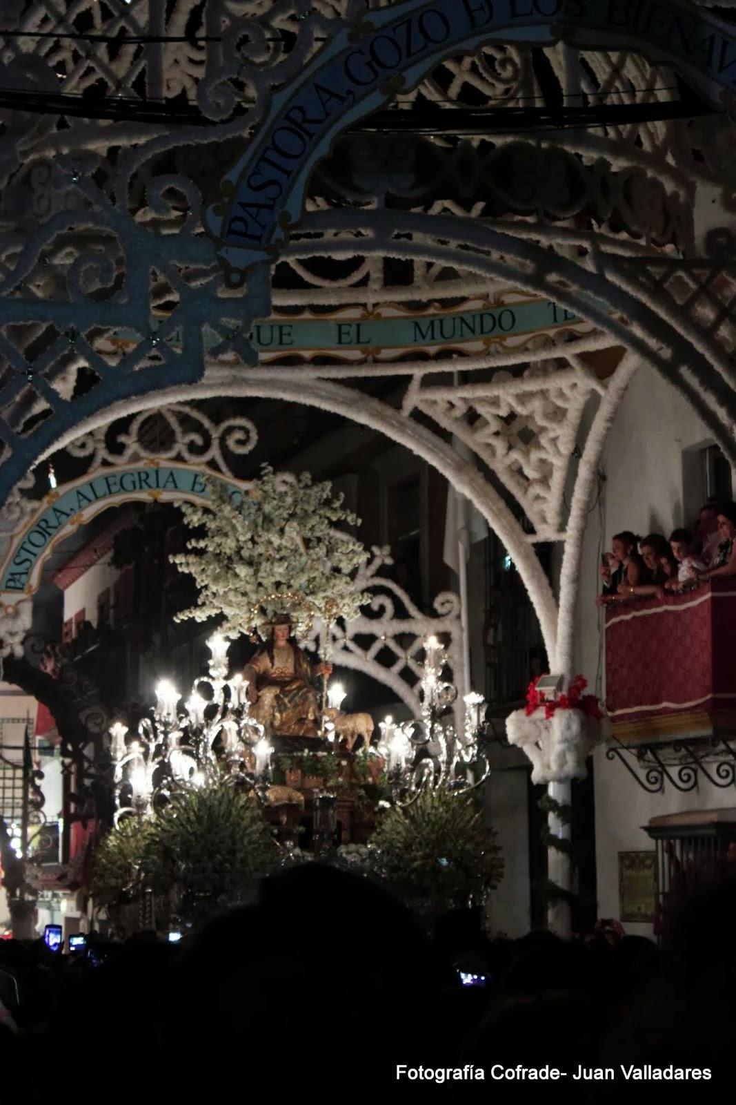 Fotografías de la procesión de la Divina Pastora de Cantillana (VI)