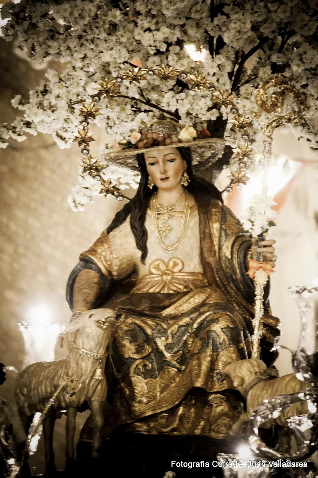 Fotografías de la procesión de la Divina Pastora de Cantillana (VI)