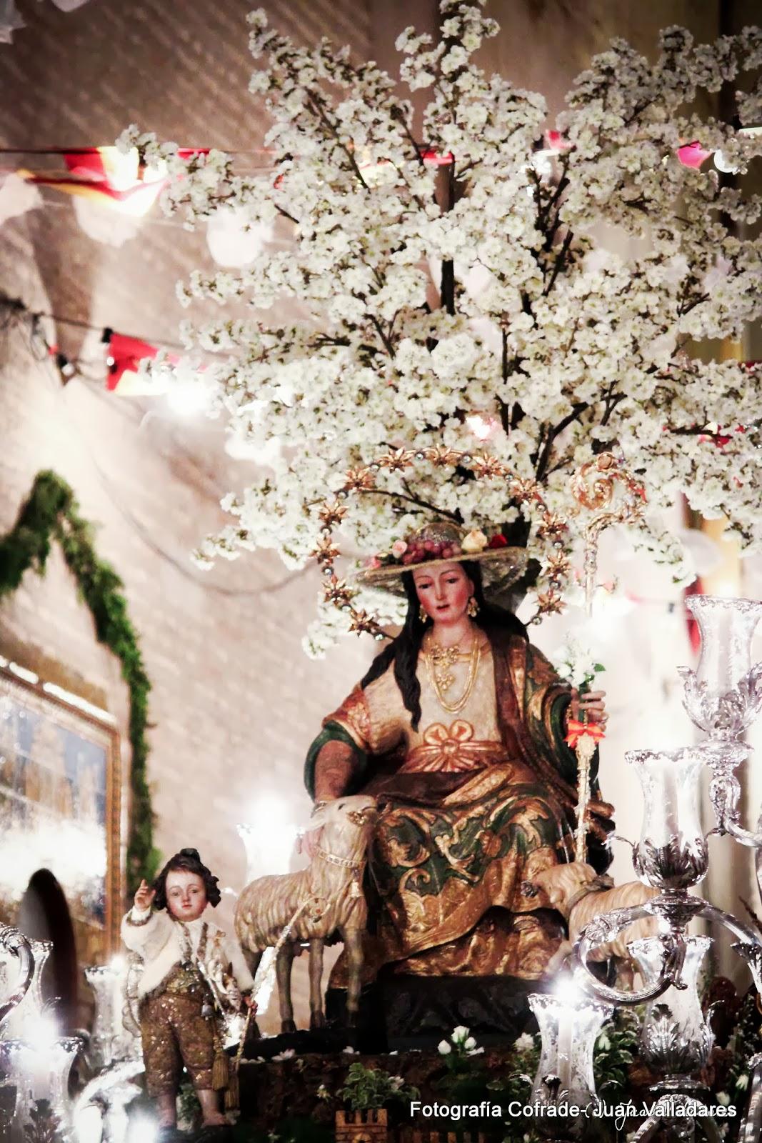 Fotografías de la procesión de la Divina Pastora de Cantillana (VI)