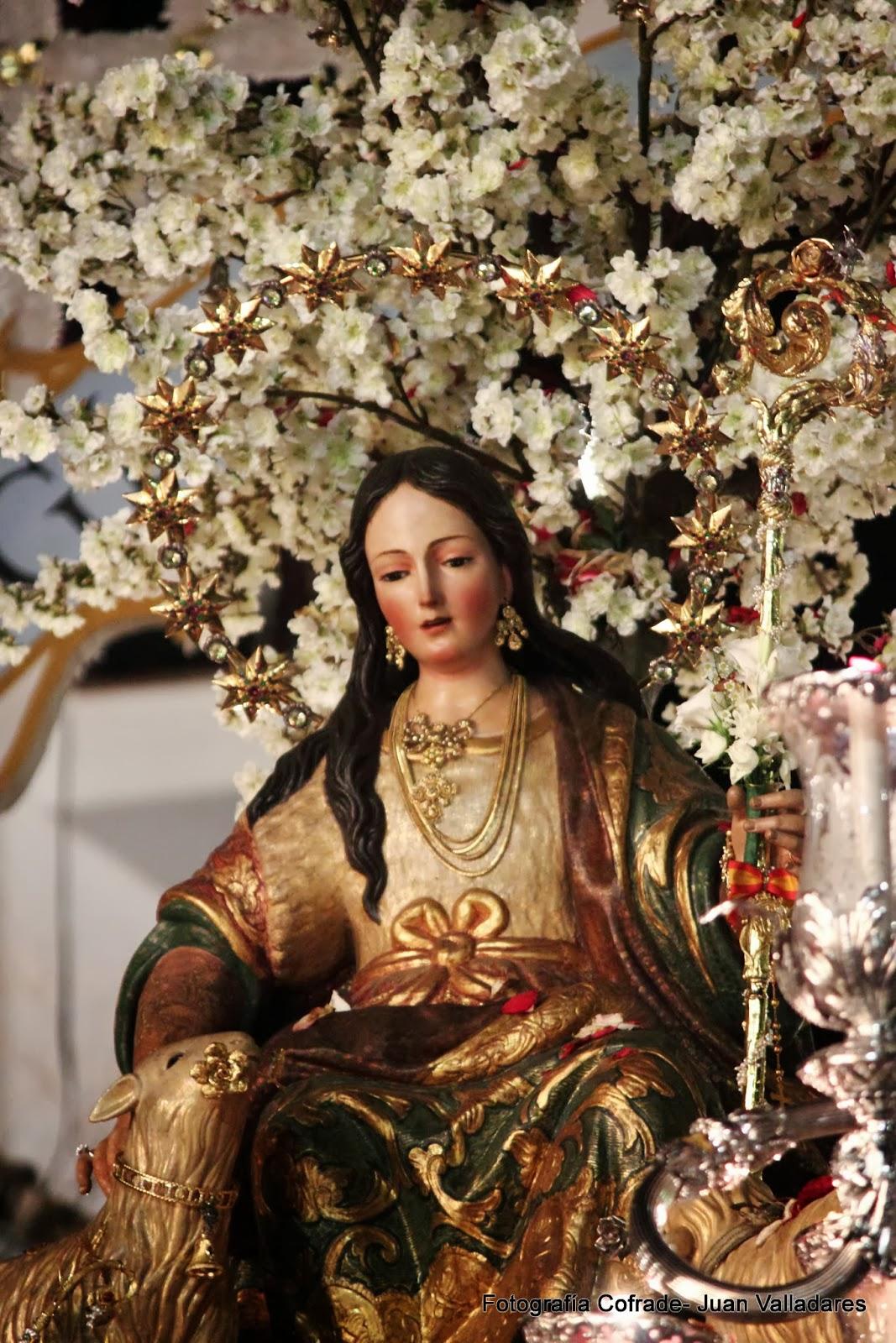 Fotografías de la procesión de la Divina Pastora de Cantillana (VI)