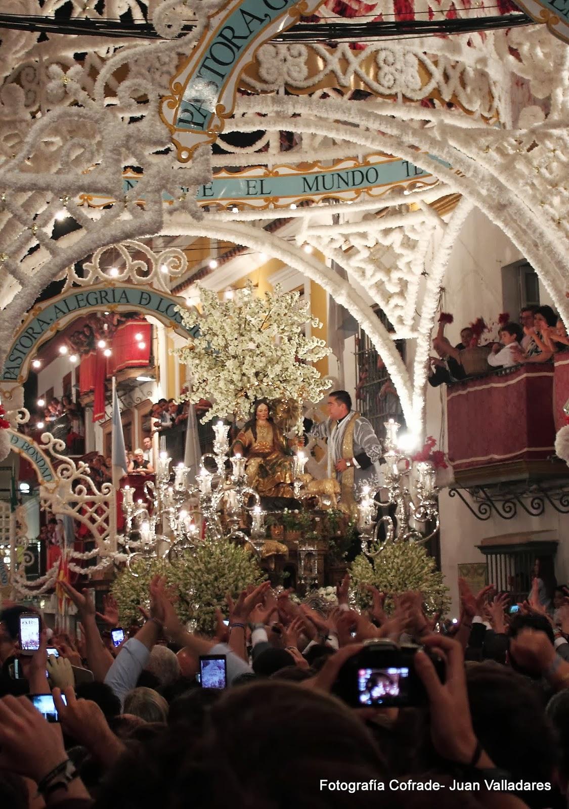 Fotografías de la procesión de la Divina Pastora de Cantillana (VI)
