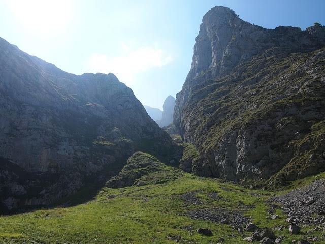 torre de coello