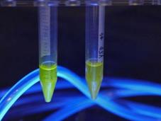 diez tecnologías disruptivas potencial económico para 2025