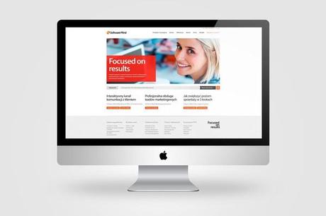 Software Mind SoftwareMind35