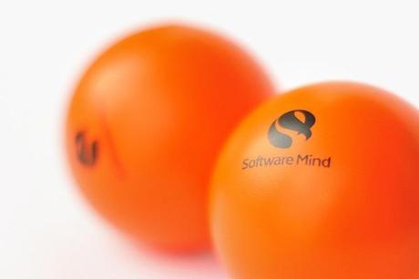 Software Mind SoftwareMind33