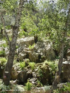 La Cueva de Las Calaveras de Benidoleig (Alicante)