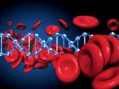 ¿Qué anemia? ¿cuales fórmulas para remontar hierro sangre?