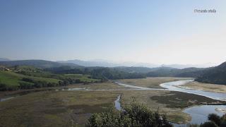 Ría de San Vicente de la Barquera, Cantabria, Polidas chamineras