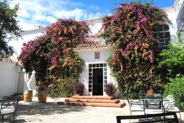 Pink and red flowers