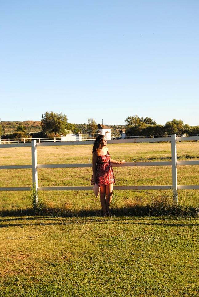 Pink and red flowers