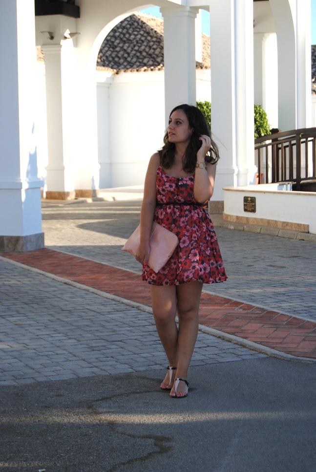 Pink and red flowers