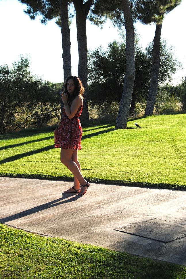Pink and red flowers