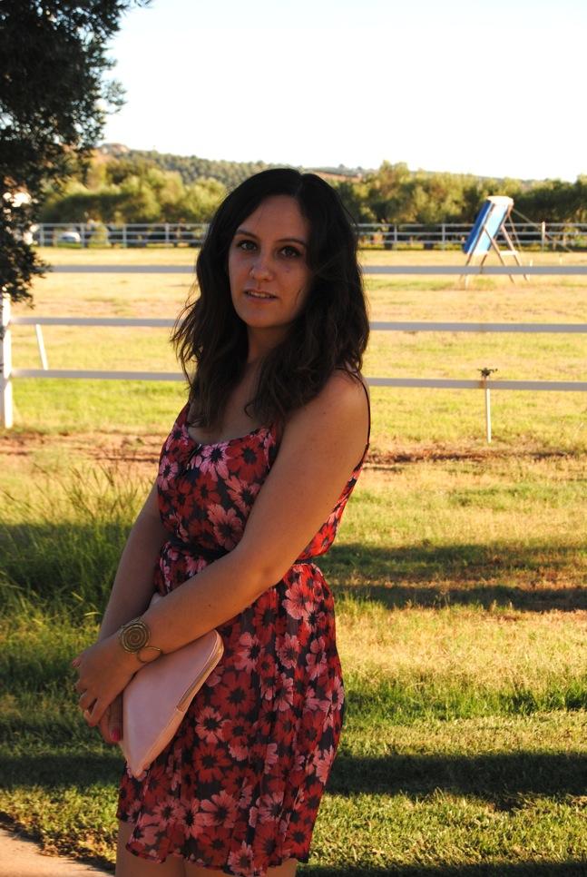 Pink and red flowers