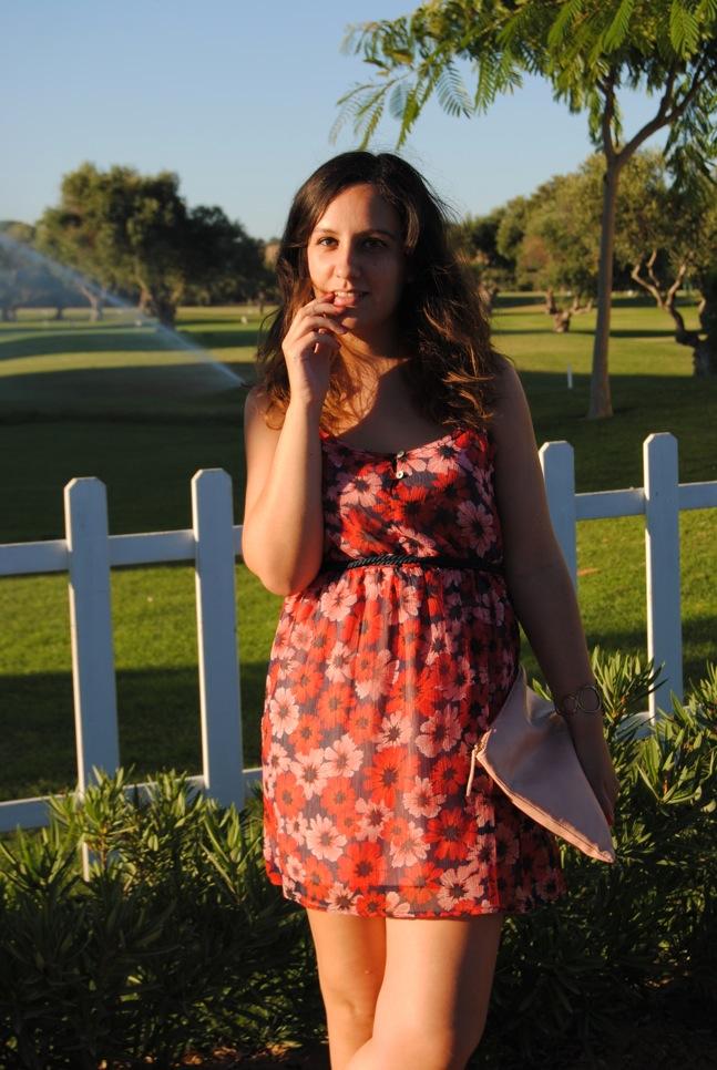 Pink and red flowers