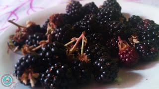 Tarta de moras y crema pastelera.