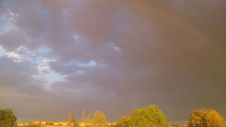Tarta de moras y crema pastelera.