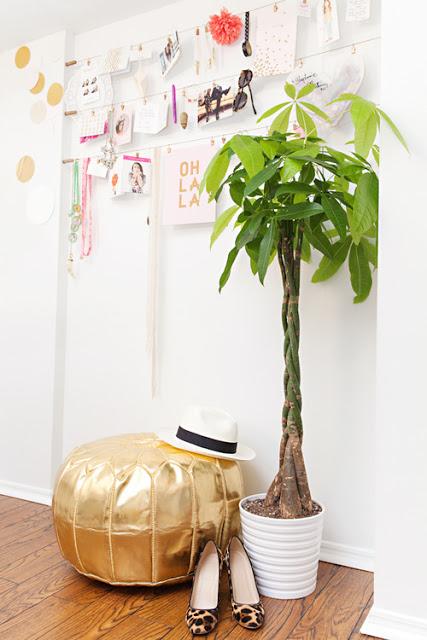 ¿Que nos compramos este Otoño?