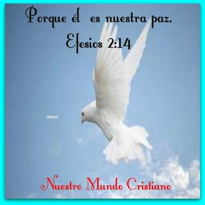 Cómo podemos tener paz