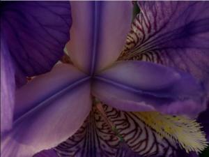 COLORES DE LA NATURALEZA 006 megustaelmedionatural