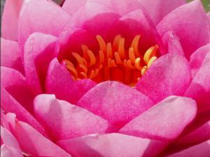 COLORES DE LA NATURALEZA 001 megustaelmedionatural