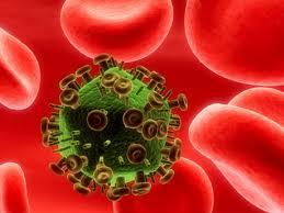 Develan cómo el VIH se «cuela» en las células humanas. Entérate!