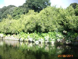 seres racionales que han construido un mundo destruido....