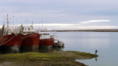 Días de pesca en Patagonia
