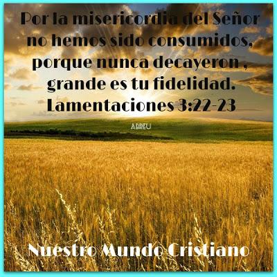 Misericordia inalterable