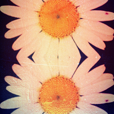 SEPTEMBER INSPIRATION: anatomical season