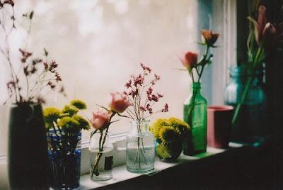 SEPTEMBER INSPIRATION: anatomical season