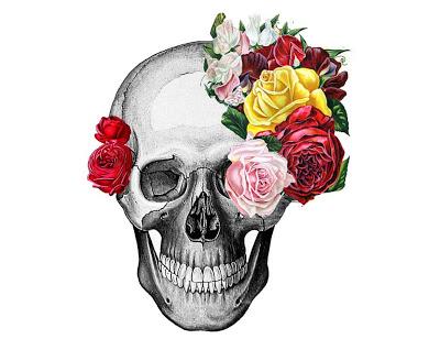 SEPTEMBER INSPIRATION: anatomical season