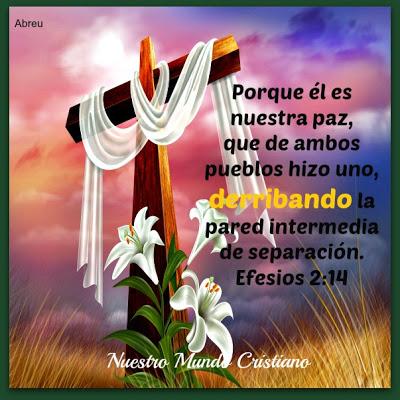 La unidad en el cuerpo de Cristo