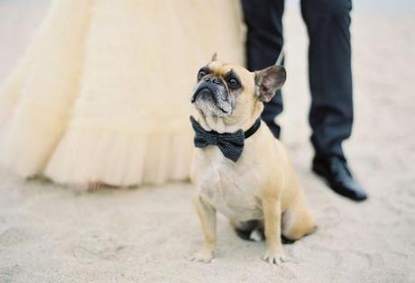 BBC - Beach Inspiration Weeddings