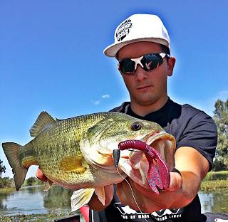 Pequeño entrenamiento