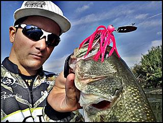 Pequeño entrenamiento