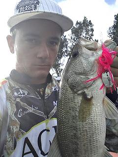 Pequeño entrenamiento