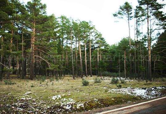 Leyenda de la sierra de Albarracín, la fuente mentirosa