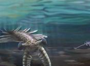 Rapidísima velocidad evolución durante explosión cámbrica