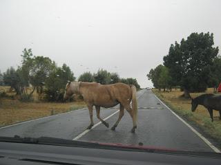 Crónicas montañeras I: Madrid y alrededores