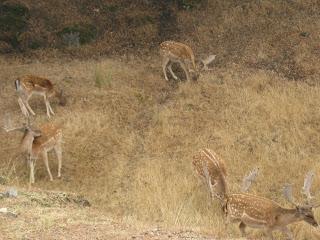 Crónicas montañeras I: Madrid y alrededores