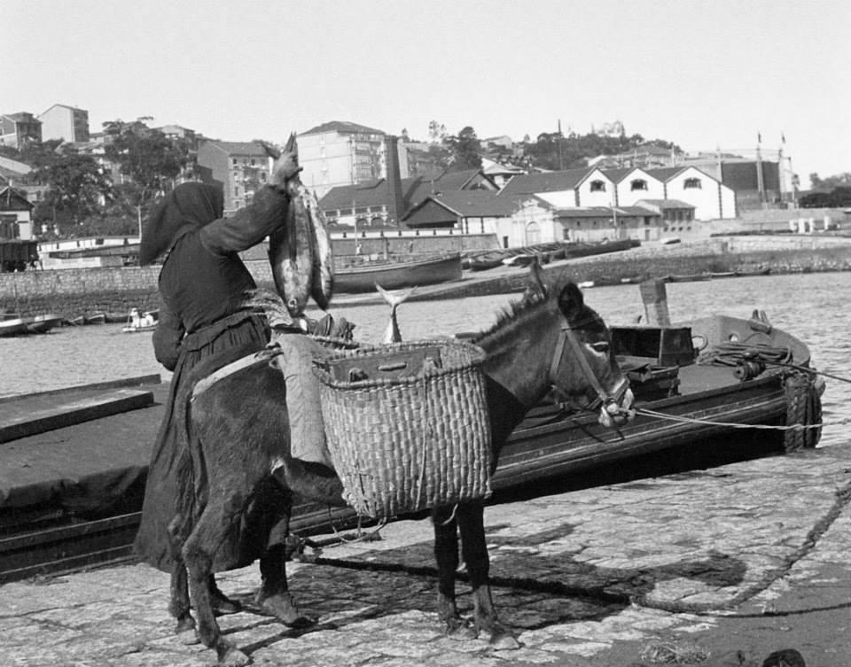 El trueque en el muelle de Santander...