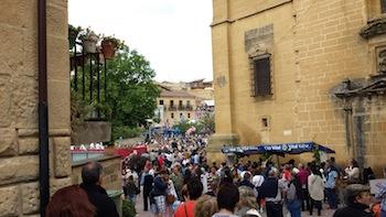 Resumen y fotos de la Fiesta de la Vendimia.