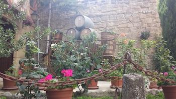 Resumen y fotos de la Fiesta de la Vendimia.