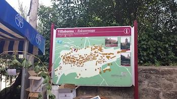 Resumen y fotos de la Fiesta de la Vendimia.