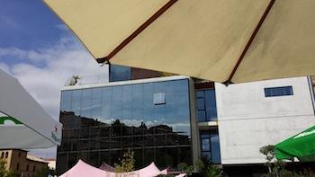 Resumen y fotos de la Fiesta de la Vendimia.