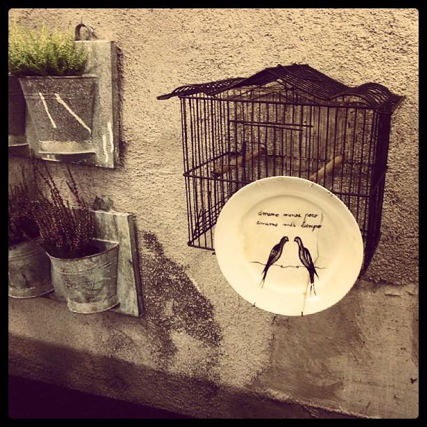 Inauguración de la tienda 