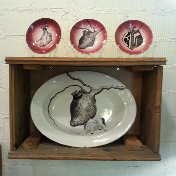 Inauguración de la tienda 