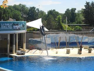 Madrid con niños (III): Zoo Aquarium de Madrid