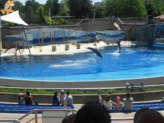 Madrid con niños (III): Zoo Aquarium de Madrid