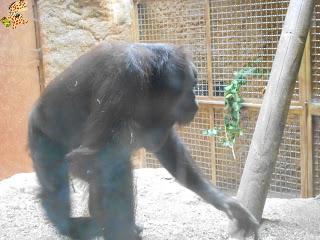 Madrid con niños (III): Zoo Aquarium de Madrid